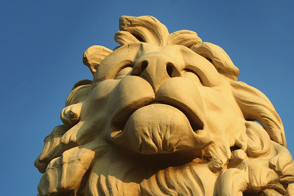 电报群卡密的ddos在线攻击平台