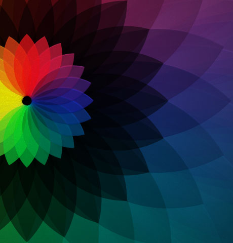 【Linux系统版】开源免费的网站攻击测试